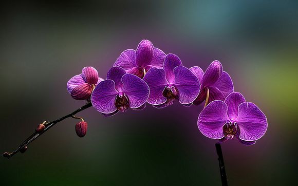 什么是废旧电脑