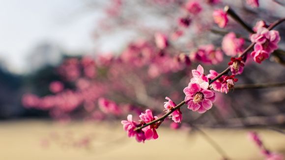 华为盒子超级密码是多少