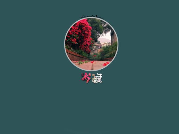 亮黑7什么材质