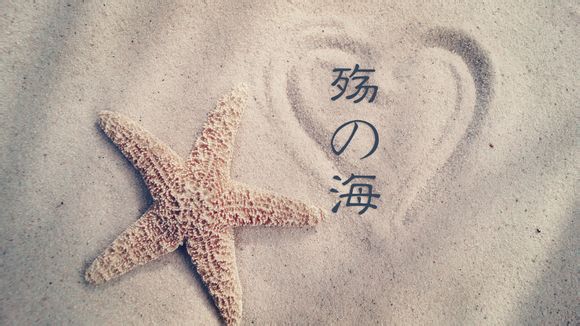 ps怎么不能打字