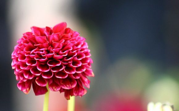 华为 如何取消电话标记