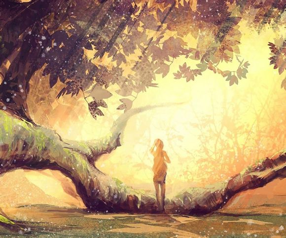 创业的想法来自哪里?