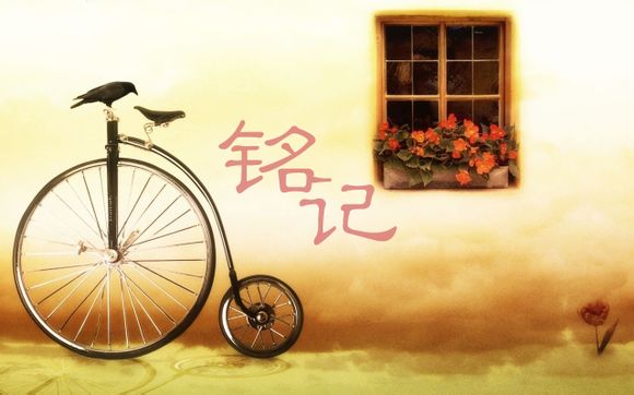云之家怎么用